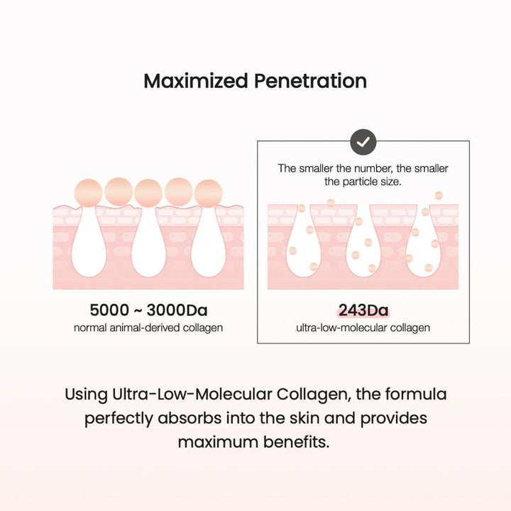 Biodance Pore Tightening Collagen Ampoule 50ml