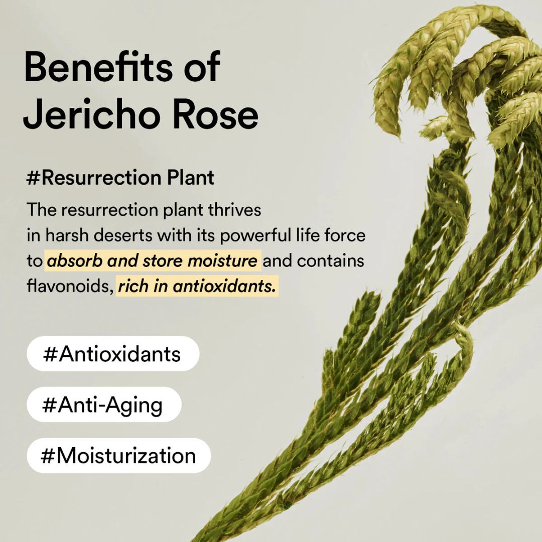 Abib Collagen Eye Patch Jericho Rose Jelly (60EA  90g)