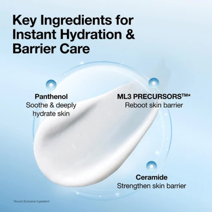 Anua - Barrier Reboot Daily Moisturizer 100ml
