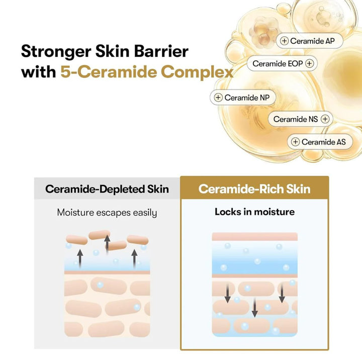 VT Cosmetics - Rice Ceramide Capsule Cream 50ml
